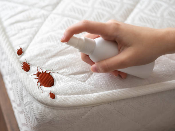 Pest Control Cost in Mount Kisco, NY